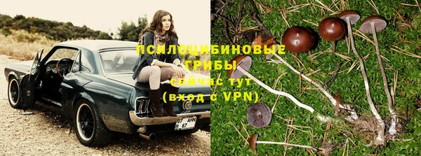 стаф Алексеевка