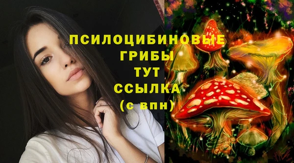 стафф Алзамай