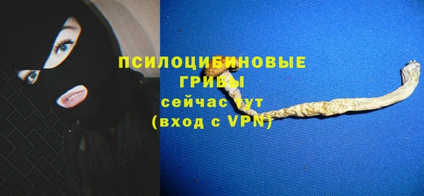 стаф Алексеевка
