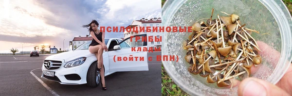 стафф Алзамай