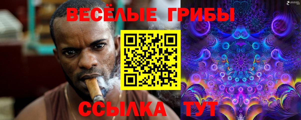 Псилоцибиновые грибы Psilocybe Шадринск