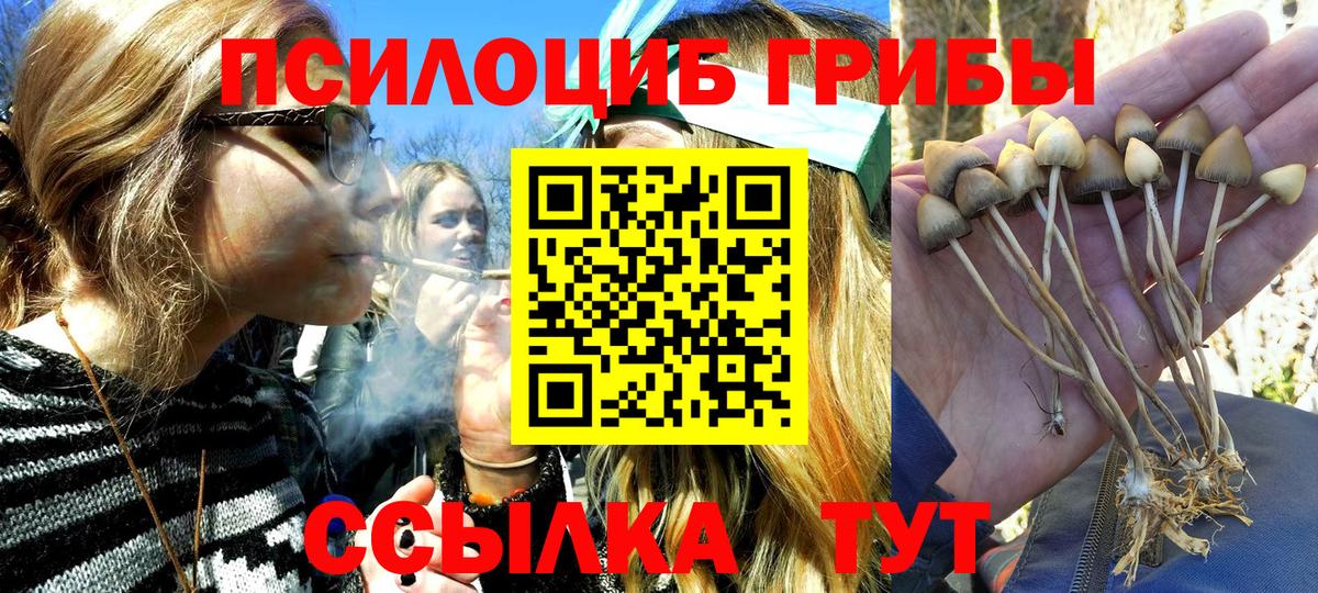 как найти наркотики  Галлюциногенные грибы прущие грибы  Вход с VPN  Шадринск  Галлюциногенные грибы MAGIC MUSHROOMS 